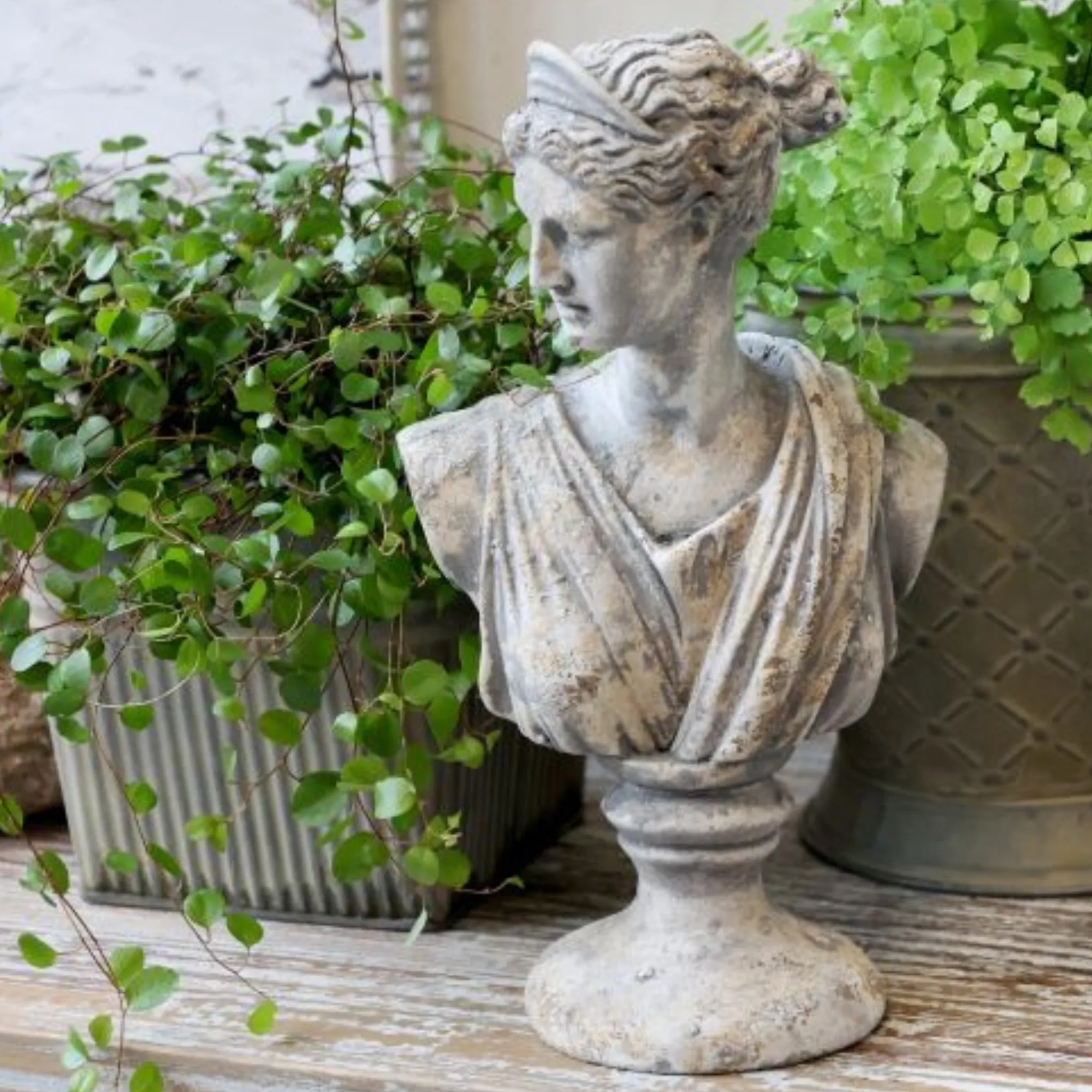 Chic Antique Buste Femme/Homme H30 cm