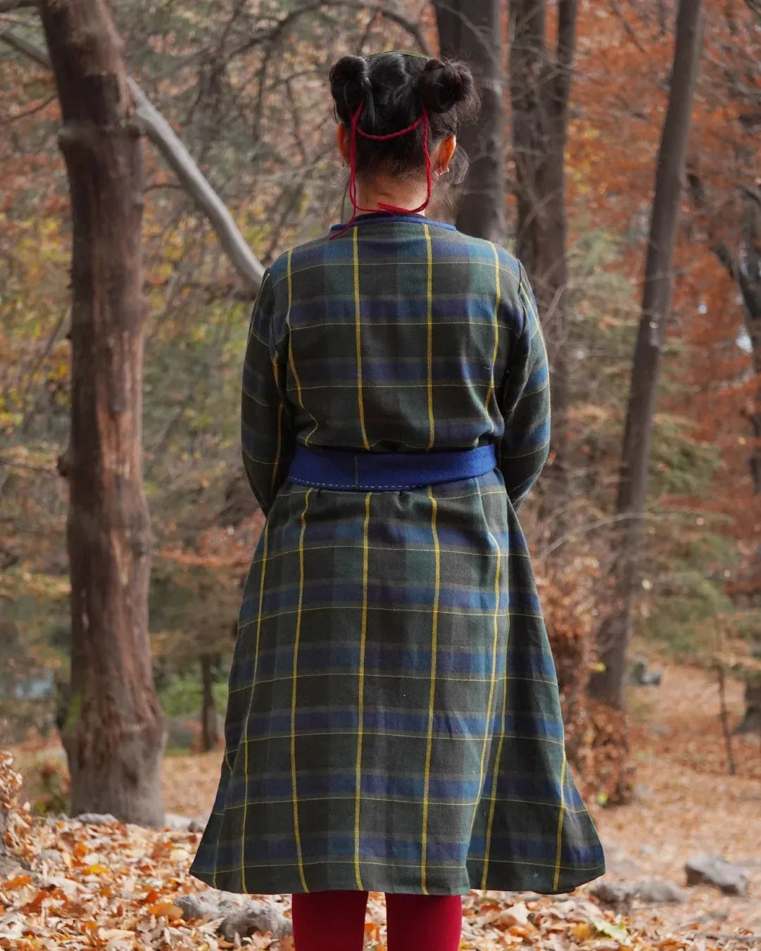 KARISH: Checkered Pattu Dress