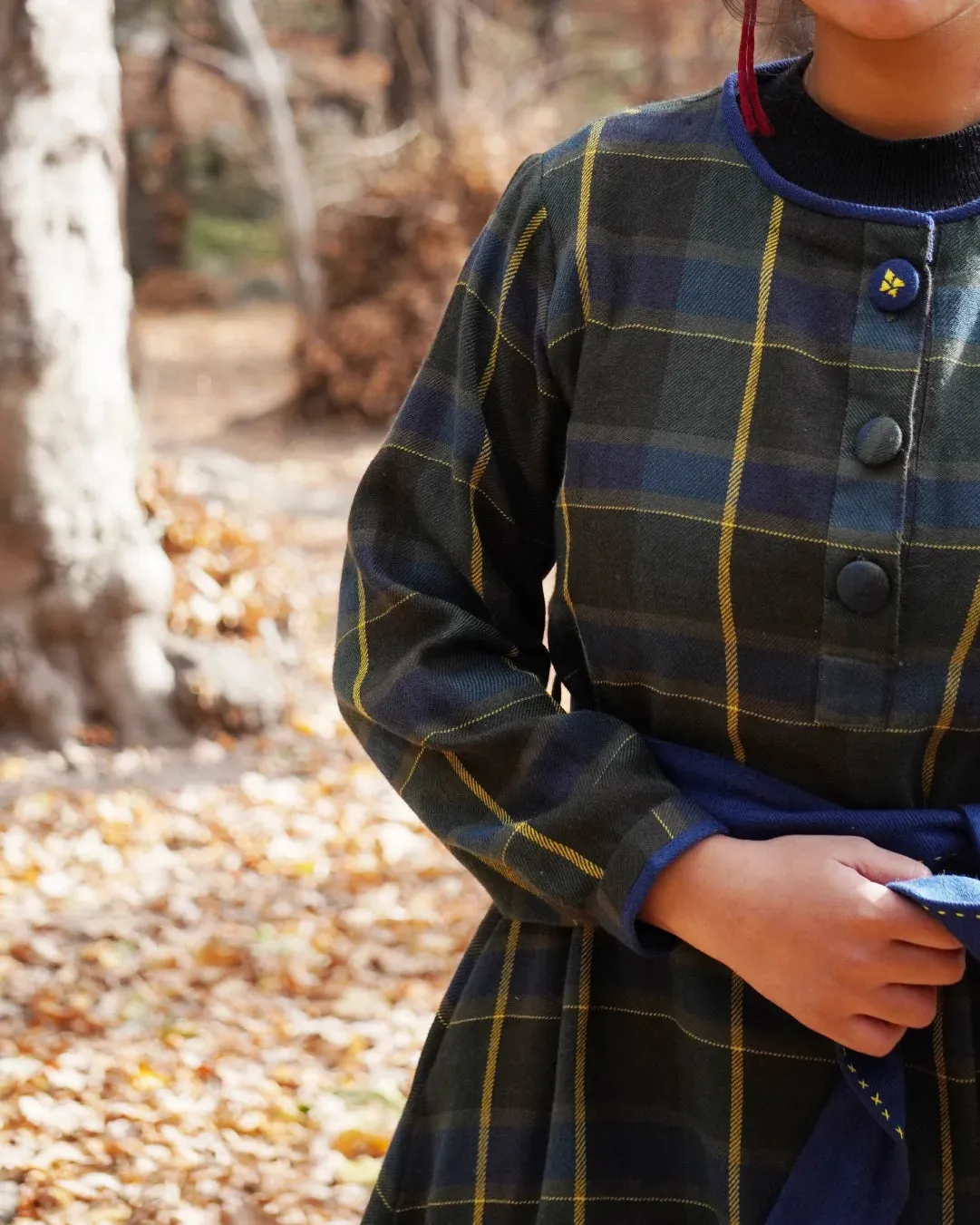 KARISH: Checkered Pattu Dress