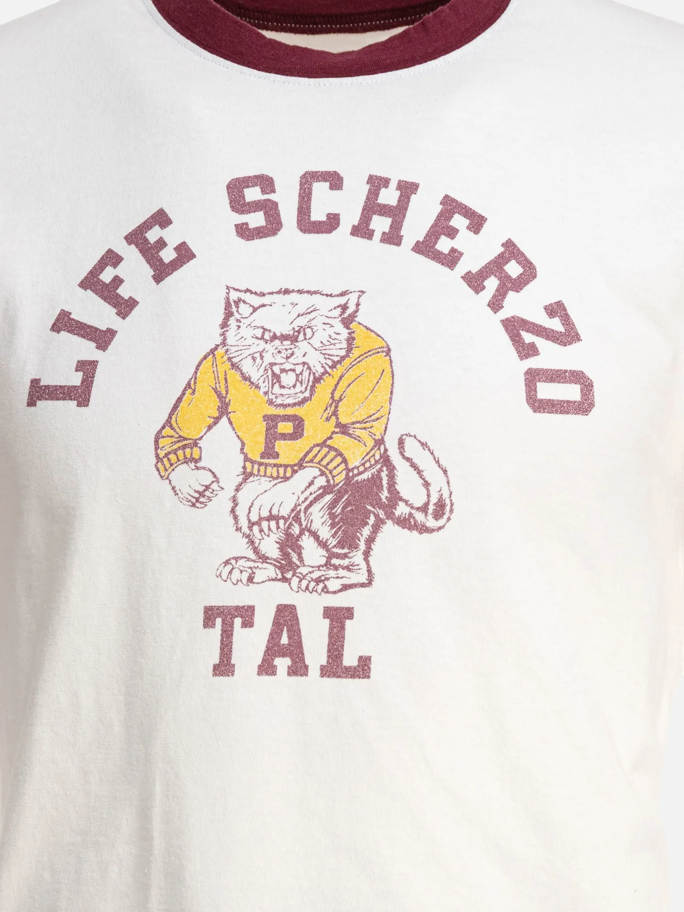 "College CAT PITAL" T-shirt