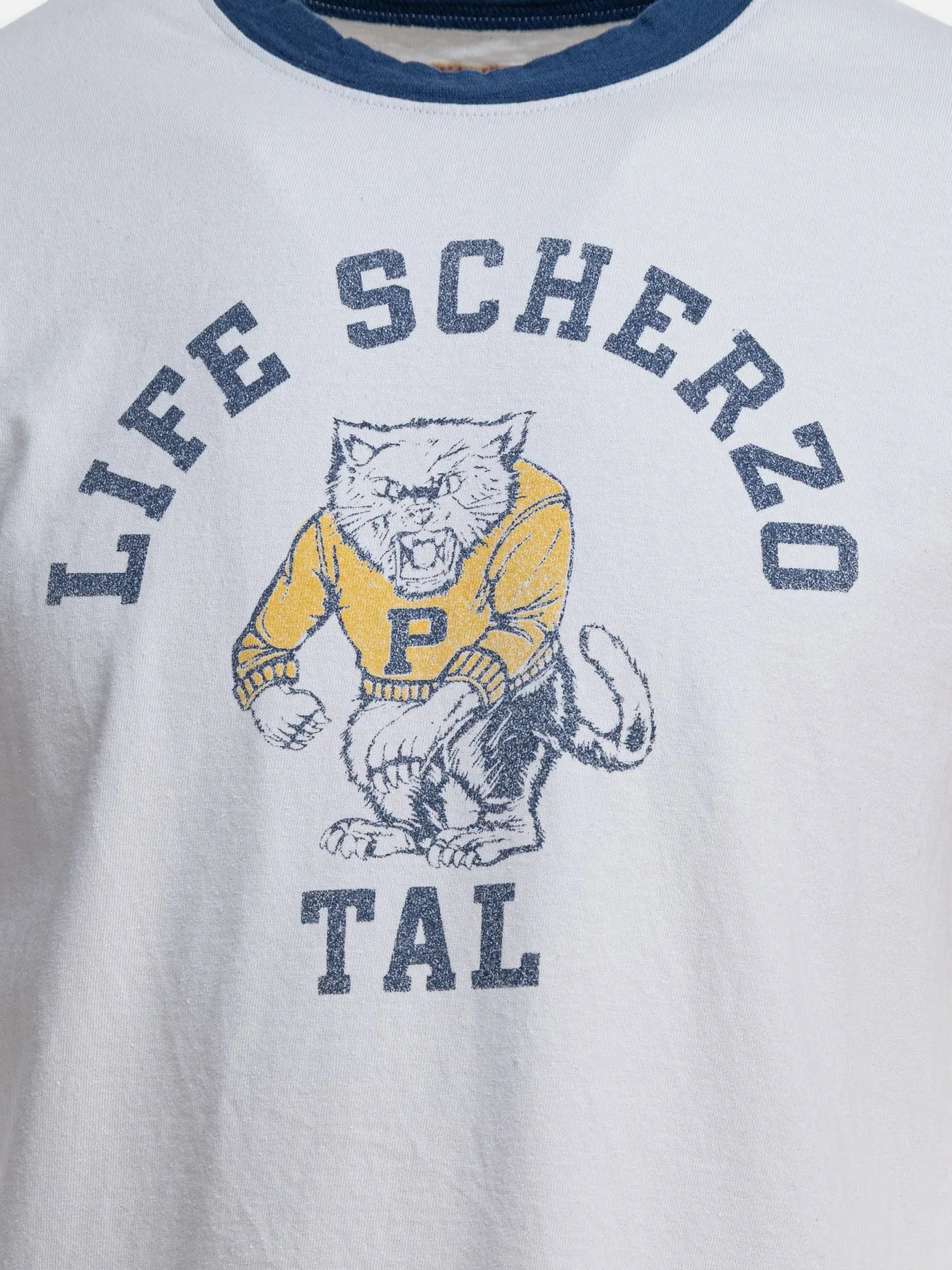 "College CAT PITAL" T-shirt