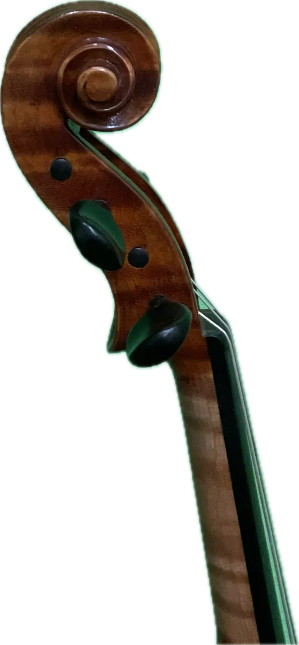 Snow PV800 3/4 Violin
