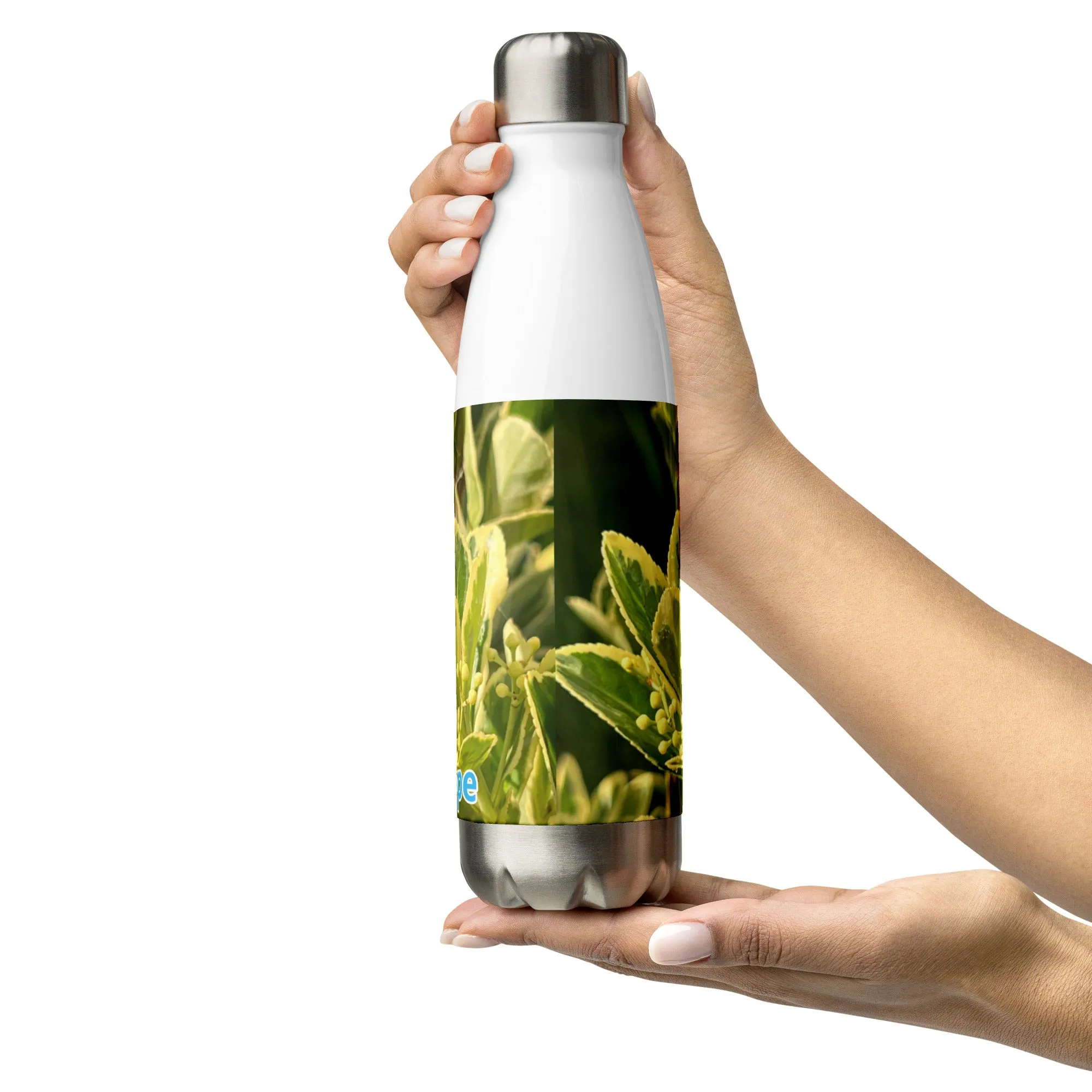 Stainless Steel Water Bottle