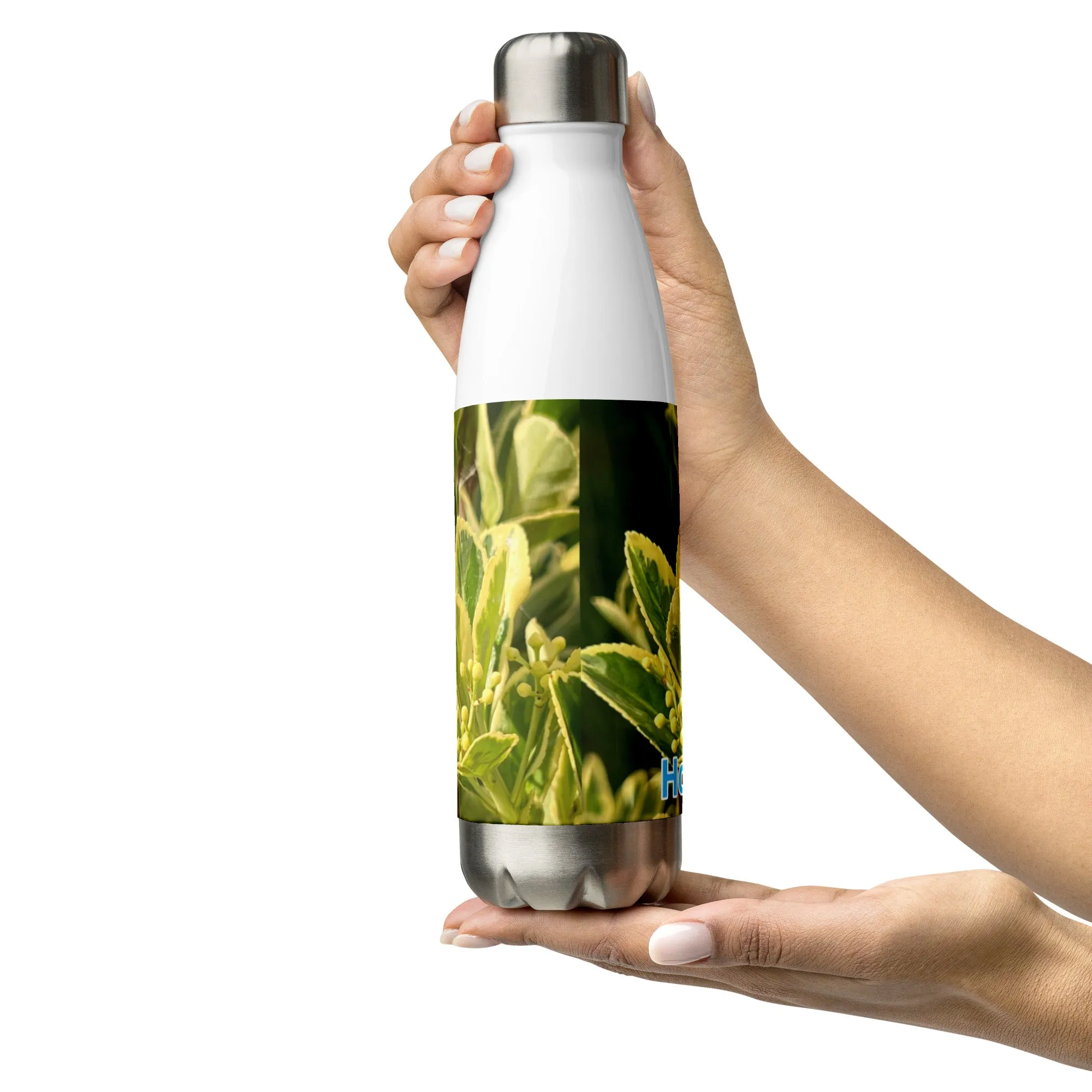 Stainless Steel Water Bottle